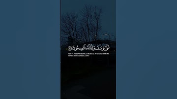 سورة يوسف بتلاوة الشيخ محمد صديق المنشاوي رحمه الله #قرآن #قران_كريم #منشاوي