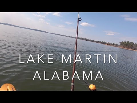 martin lake