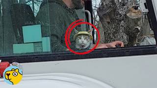 Man Didn’t Want A Cat. Look At Them Now
