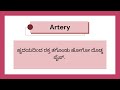 EVS Vocabulary | Class 4 | Chapter 13