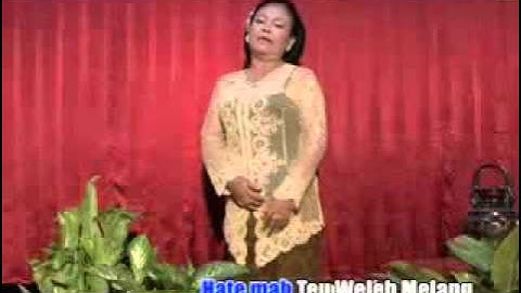 Cicih Cangkurileung   BAYU BAYU flv