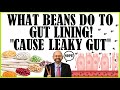 What beans  lentils do to your gut lining cause leaky gut 