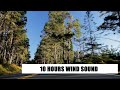 RELAXING SOUND OF THE WIND - 10 HOURS