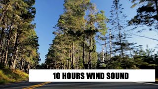 RELAXING SOUND OF THE WIND - 10 HOURS