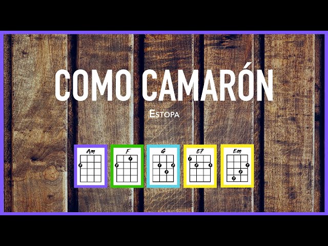 Como Camarón Chords