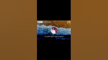 تلاوة مؤثره وخاشعه | الواقعة | محسن خفاجي
