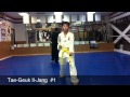 Ks choi taekwondo highlight 1