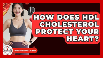 How Does HDL Cholesterol Protect Your Heart? - Cholesterol Support Network