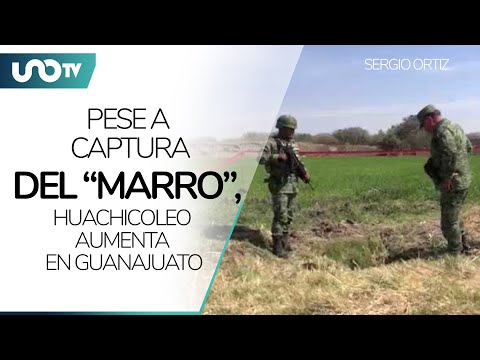 Pese a captura del “Marro”, huachicoleo aumenta en Guanajuato