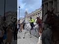 😲POLICE HORSES #kingsguard #history #horseguards #tourist #london #fyp#youtubeshorts #shorts #funny