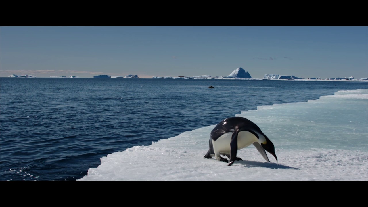 Pingviinien Matka 2 virallinen traileri HD 2017
