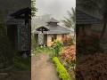 relaxing Cooling rain that makes you feel at home in the Cianjur village, Indonesia