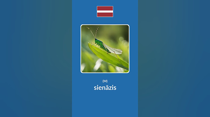 Insects in Latvian