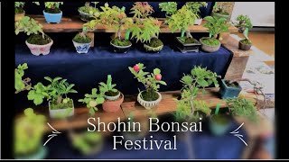 Shohin Bonsai Festival 2019 [ SALE ]　 小品盆栽フェスティバル　上野グーリンクラブ