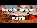 Австрия и золотая осень в Steinwandklamm Austria 4K walk