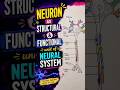 Structural &amp; Functional Unit of Nervous System #shorts # biology #nervoussystem #anatomy #drawing