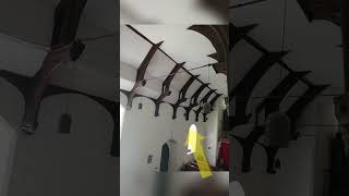 Short history of St Peter's Church, Charsfield #shorts #churchhuntersltd #church #history #animation