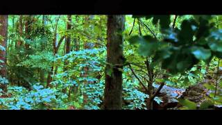 100 Days Of Hunger Games Book Club - Chapter 11