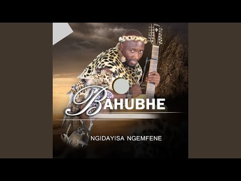 Ngidayisa Ngemfene