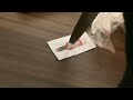 The Ketchup packet is @binollmusic | YouTube | Official Animated Music Video
