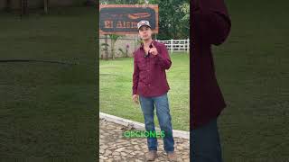 Debes pensar en la genética de tu hato, es importante 🧬🐮🐮