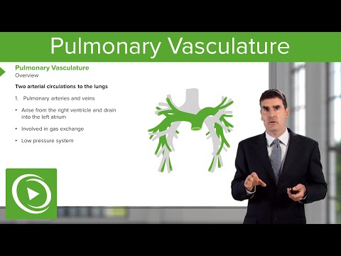 Pulmonary Vasculature – Respiratory Medicine | Medical Education Videos