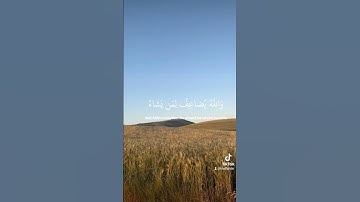 اسم القارئ