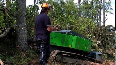 Ecoforst T-WINCH and Skidder