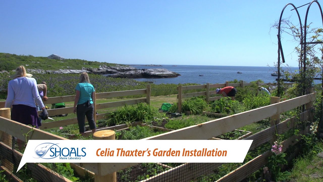hampshire home choice Celia Thaxter's Garden Installation at Shoals Marine Lab