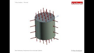 T-Flex Analysis v16 - Thermal - Non-Stationary Temperature for an Isotropic Cylinder