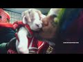 6ix9ine - Kooda (Official Music Video) (Clean)