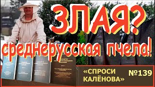 "Механизм" Укрощения Злобности Среднерусских Пчёл. Злой Пчеловод и Злое Пчеловодство!