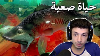 حياة السمكة صعبة 😤 | Feed and grow fish