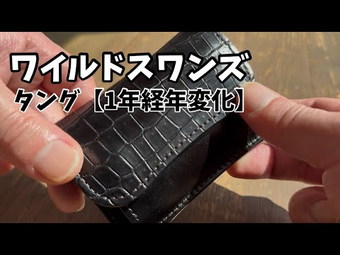 1 Year Later] A Detailed Look at the Wildswans Tongu - YouTube