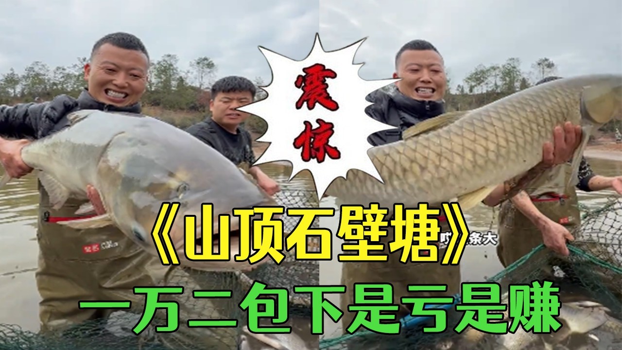 花1萬2包下山頂石壁塘，看看是虧還是賺！#小飛哥#三農  #戶外  #新農人計劃2026  #鄉村守護人