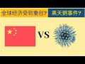 新冠状病毒会对全球经济造成什么影响? 新的黑天鹅事件? 【老王】