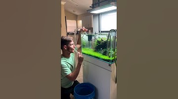 Stop using your mouth to start the suction #shorts #aquarium