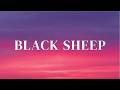 Black Sheep Lyrics mp3