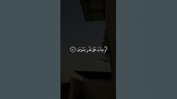 القران الكريم بصوت مريح #اكسبلور #الله #duet