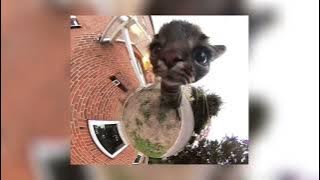 Bobby Caldwell - What Won't Do for Love | sped up