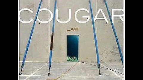 Cougar - Your Excellency
