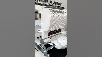 Digitizing Animals with Hatch