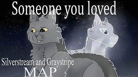 ☆SilverStream & GrayStripe MAP☆ Someone you loved