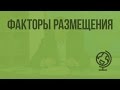 Факторы размещения. Видеоурок по географии 10 класс