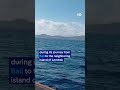 Ferry catches fire near Bali | DW News
