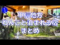 【完結編】春の旅行やGWにおすすめ!甲信地方で犬と泊まれる宿|山梨・軽井沢【豆柴ころた】