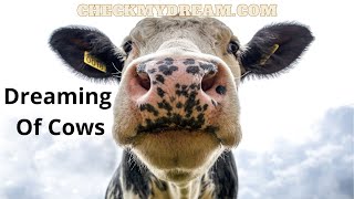Discover the Shocking Truth About Dreaming of Cows