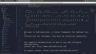 Install SublimeLinter - Sublime Text 3