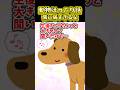 動物ほっこり話~情に弱すぎる父~【2ch動物スレ】
