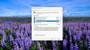 How To Clear/Delete Delivery Optimization Files In Windows 11/10 [Guide]